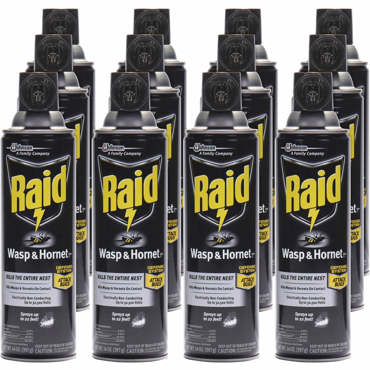 Raid Wasp and Hornet Killer 33 Spray - 14 fl oz - White - 12/Carton - Pesticides