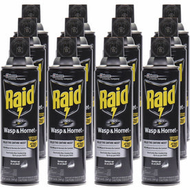 Raid Wasp and Hornet Killer 33 Spray - 14 fl oz - White - 12/Carton - Pesticides
