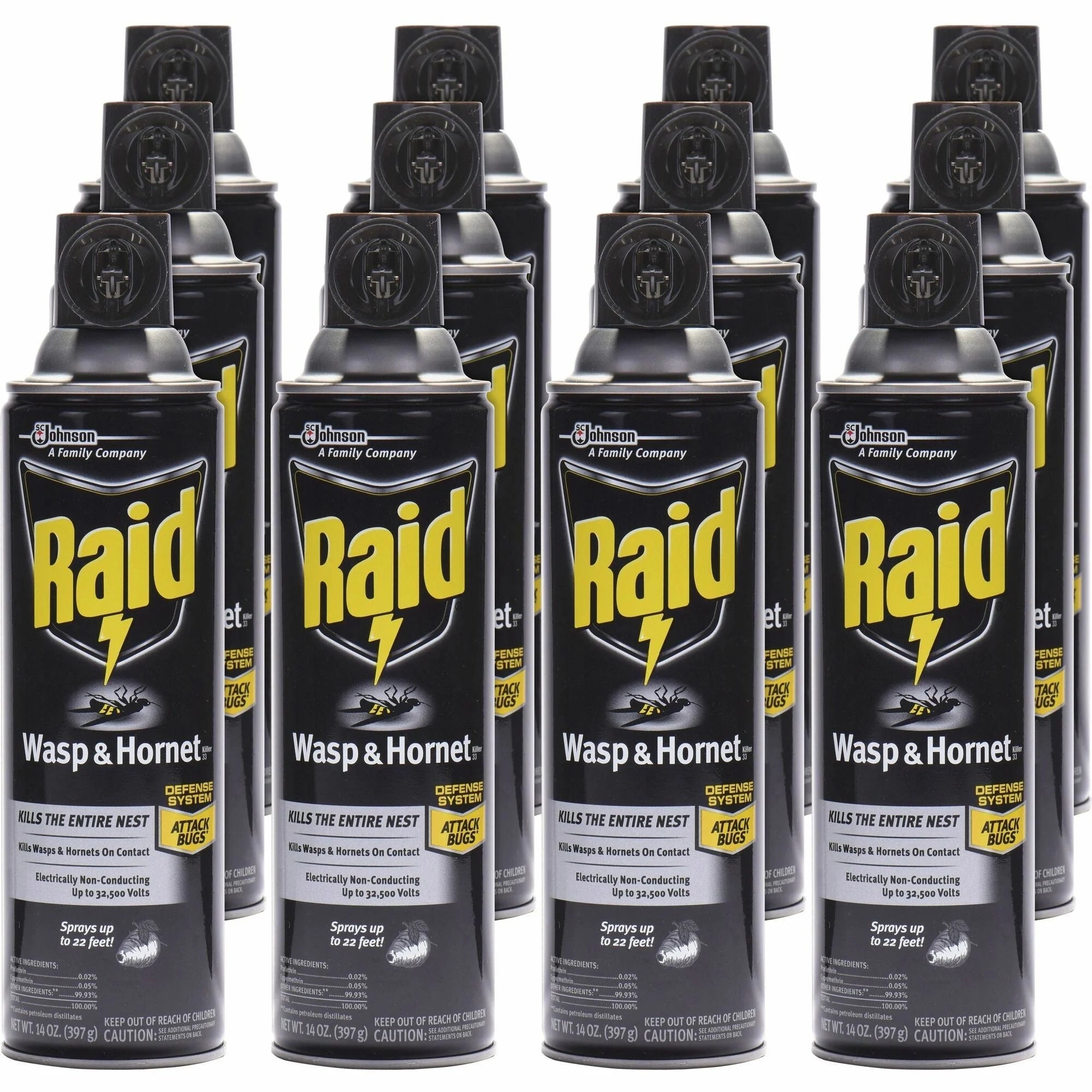 Raid Wasp and Hornet Killer 33 Spray - 14 fl oz - White - 12/Carton - Pesticides