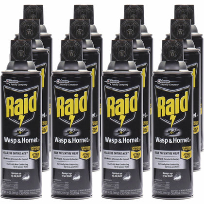 Raid Wasp and Hornet Killer 33 Spray - 14 fl oz - White - 12/Carton - Pesticides