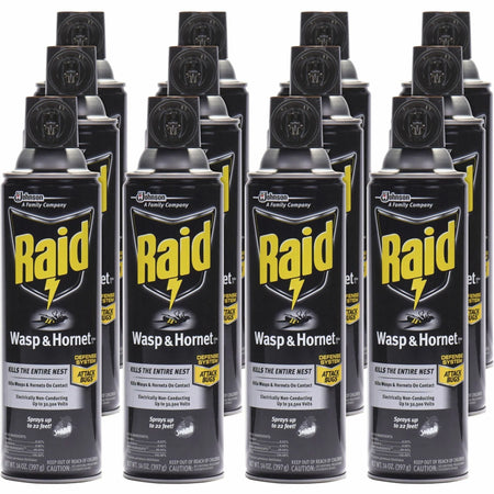 Raid Wasp and Hornet Killer 33 Spray - 14 fl oz - White - 12/Carton - Pesticides