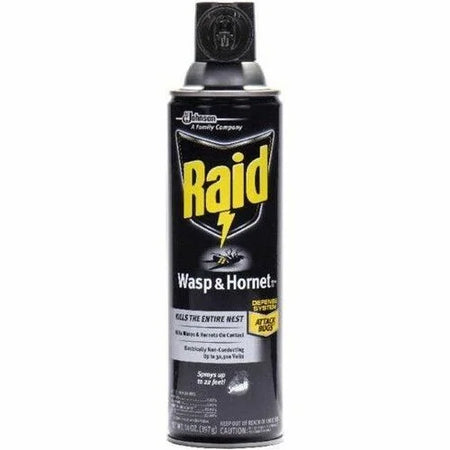 Raid Wasp and Hornet Killer 33 Spray - 14 fl oz - White - Kills Multiple Insects - Pesticides