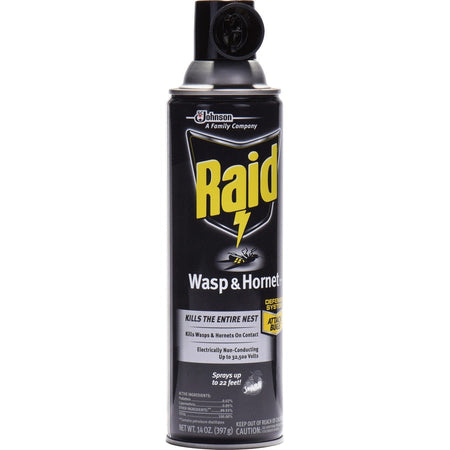 Raid Wasp/Hornet Killer Spray - Right