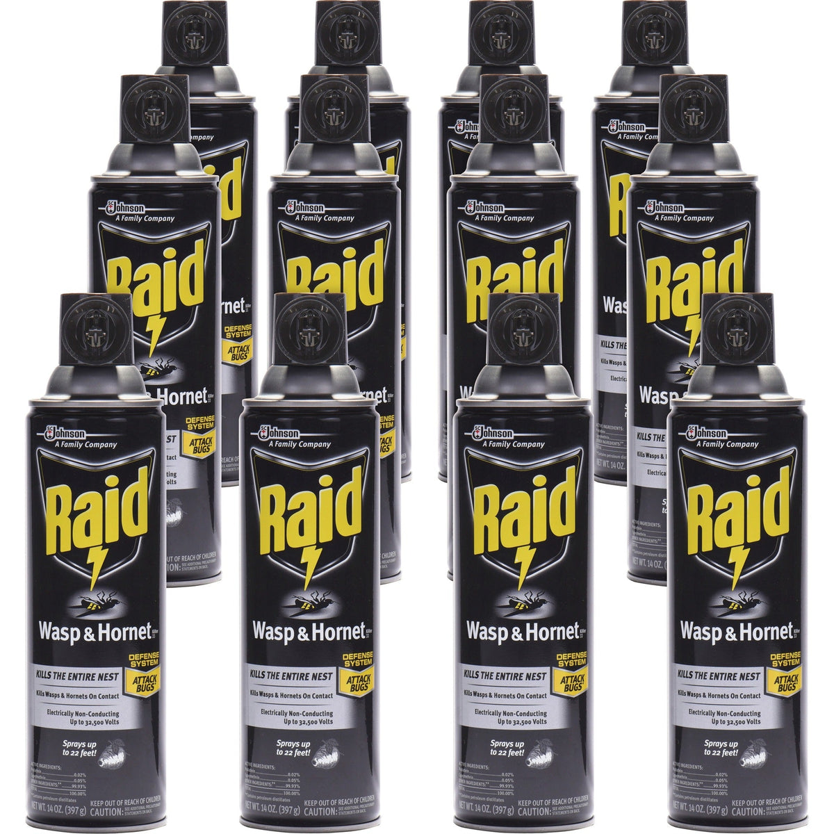 Raid Wasp/Hornet Killer Spray - 2000