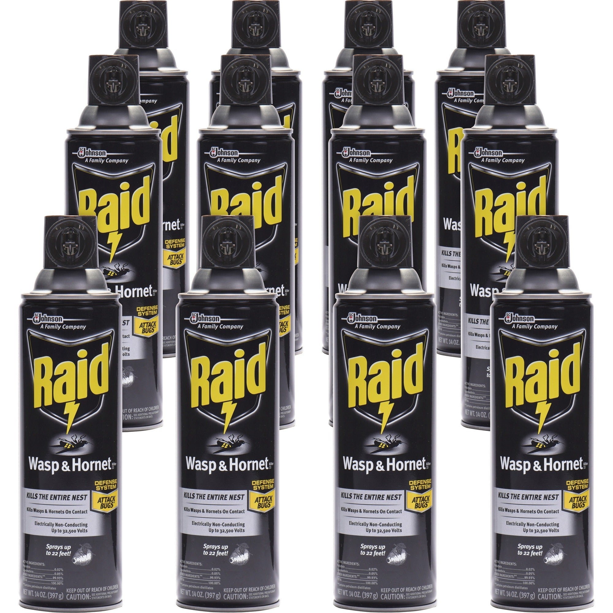 Raid Wasp/Hornet Killer Spray - 2000