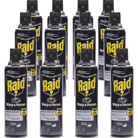 Raid Wasp/Hornet Killer Spray - 2000