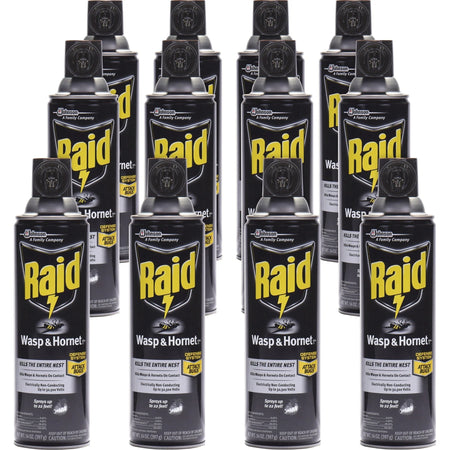 Raid Wasp/Hornet Killer Spray - Kills Various Insects - 14 fl oz - White - Pesticides