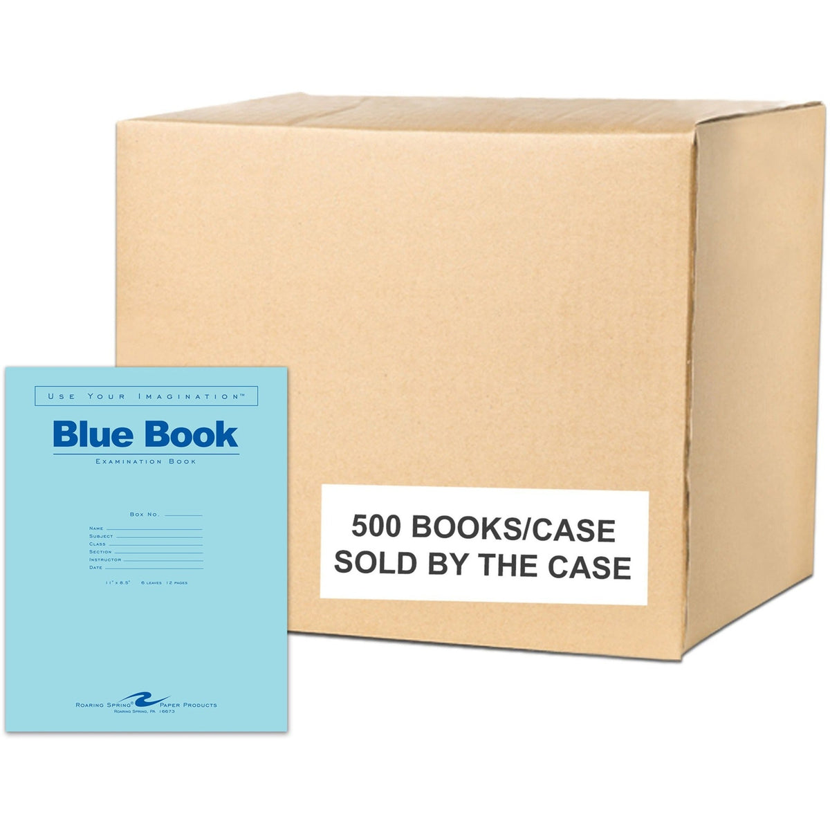 Roaring Spring Blue Examination Book - 2000