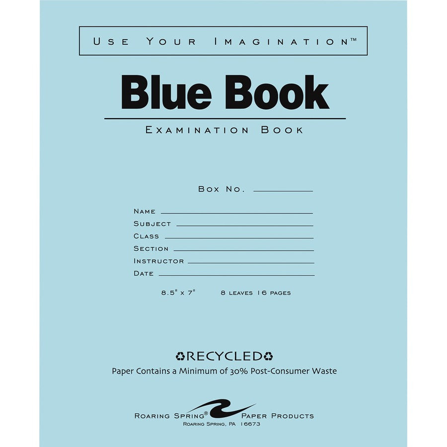 Roaring Spring Blue Examination Book - Front