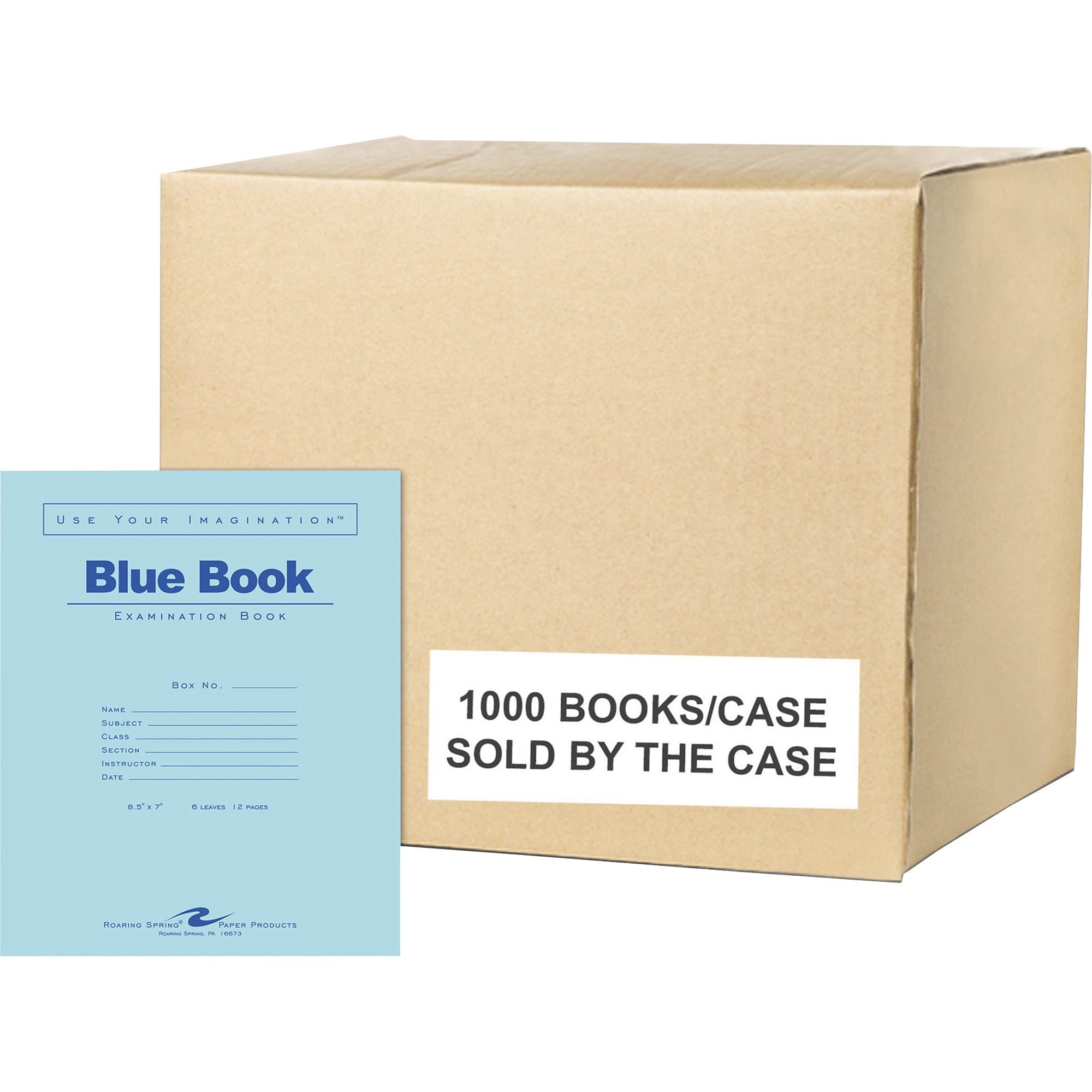 Roaring Spring Blue Examination Book - 2000