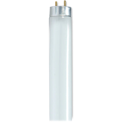 Satco 32W T8 4100K Fluorescent Bulbs - 32 W - 120 V AC - Size - Cool White Light Color - G13 Base - 24000 Hour - 4100°K