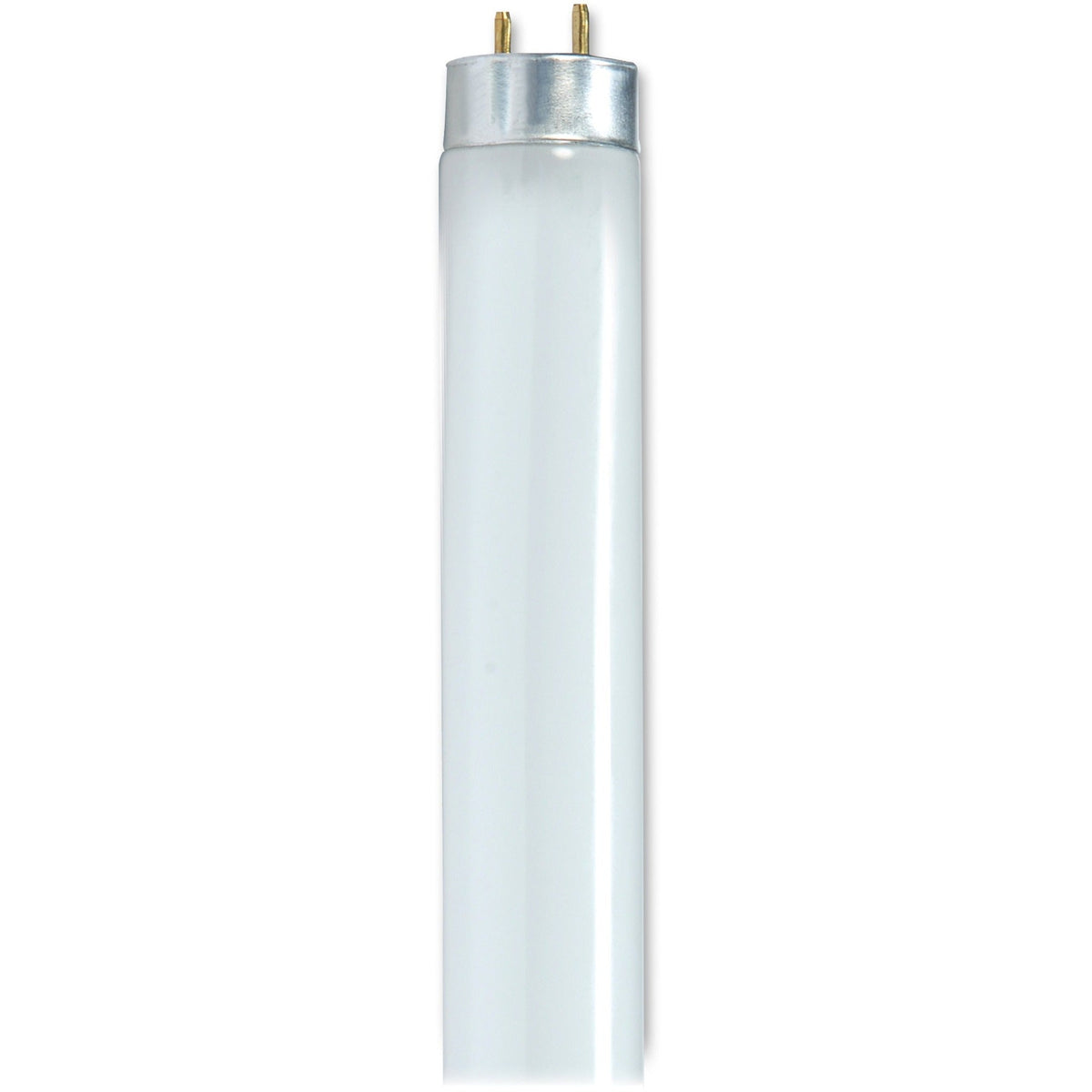Satco Flourescent Light Bulbs 32W 6/box - 2000