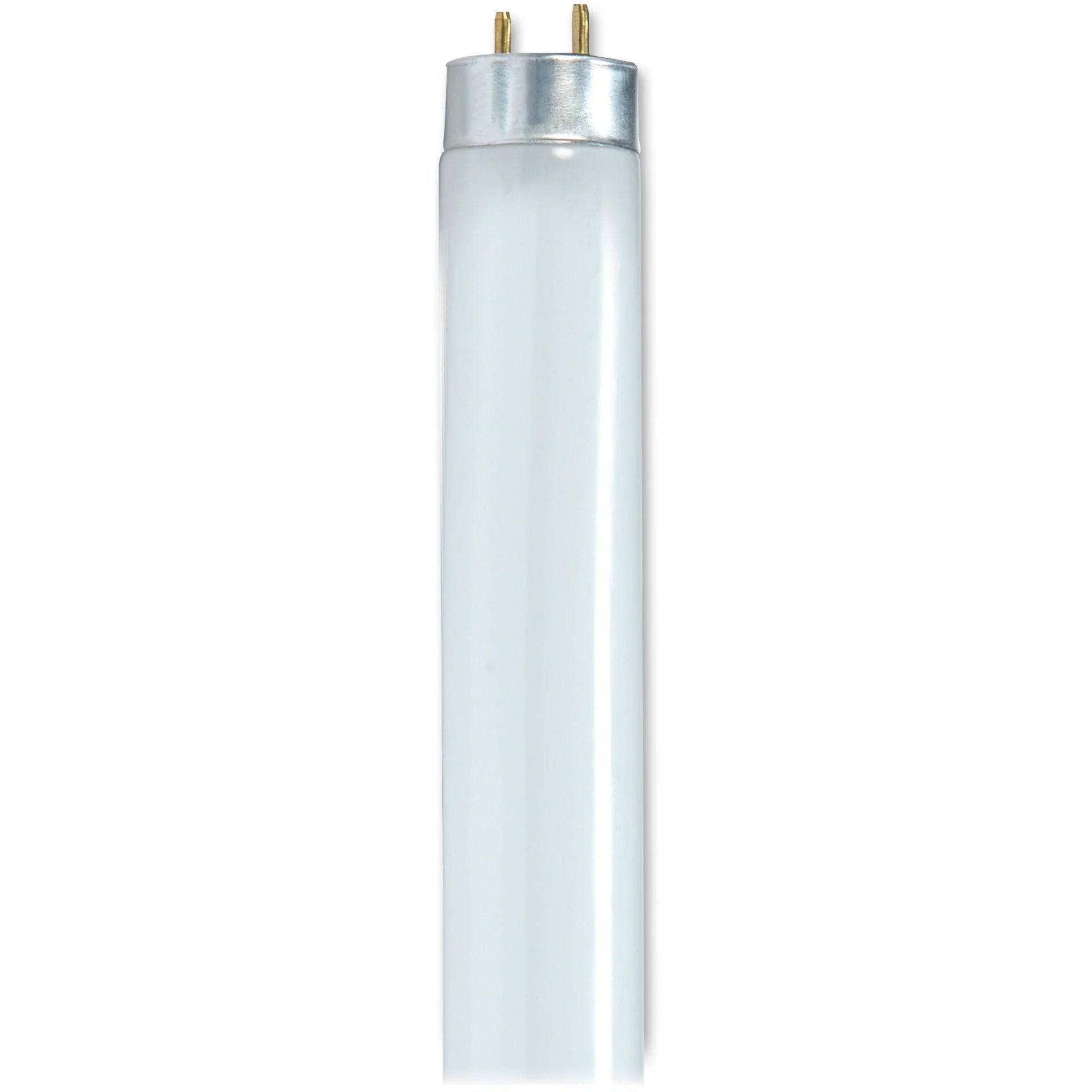Satco Fluorescent Light Bulbs - 32W 6/Box - Cool White - 24000 Hour