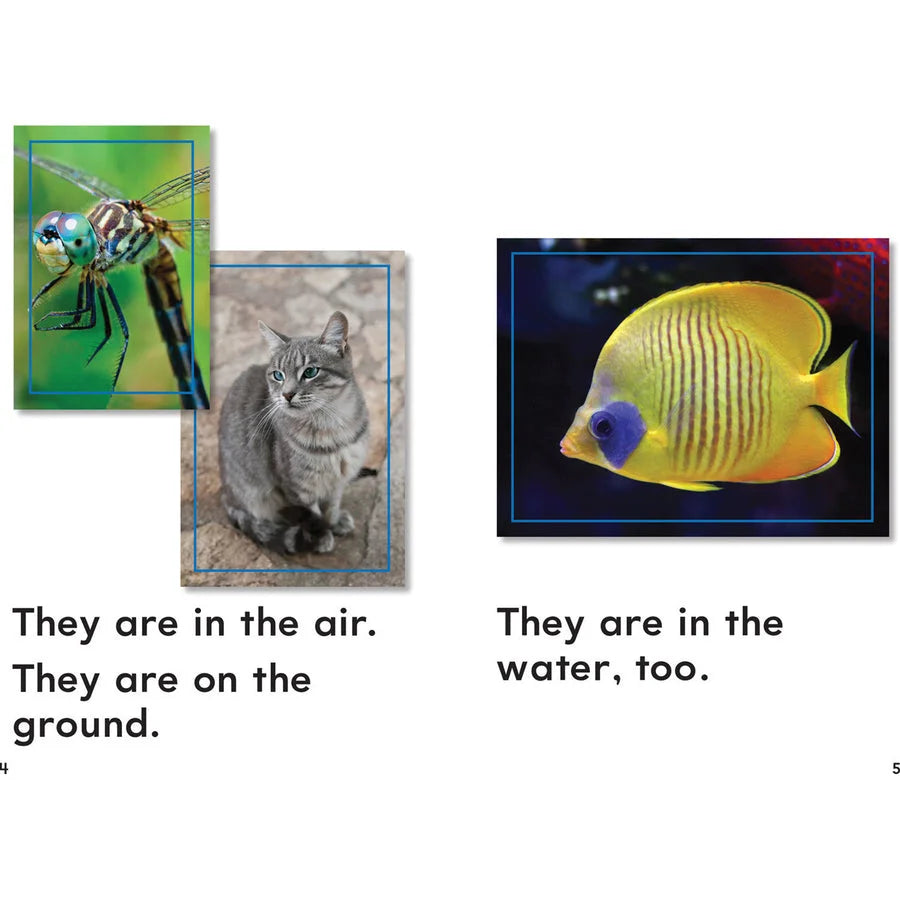 Shell Education Grade K Time for Kids Book Set 1 - Educational Printed - Learning Books & Activities