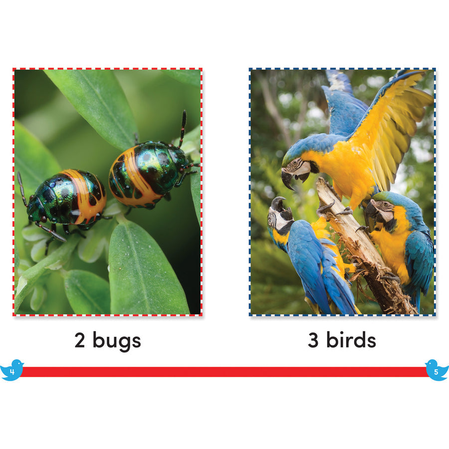 Shell Education Grade K Time for Kids Book Set 1 Printed Book - Alternate-Image4