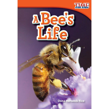 Shell Education Learn-At-Home Summer Science Set Printed Book by Jodene Smith - Alternate-Image2