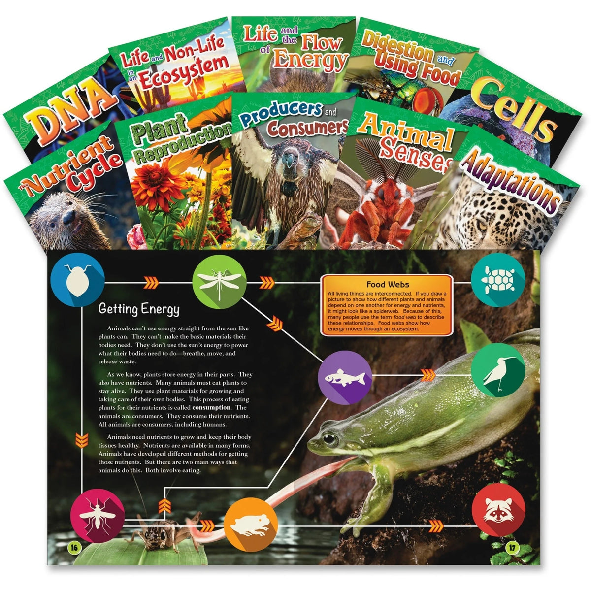 Shell Education Life Science Books - Grade 4-5 - 10/Set - Learning & Activities