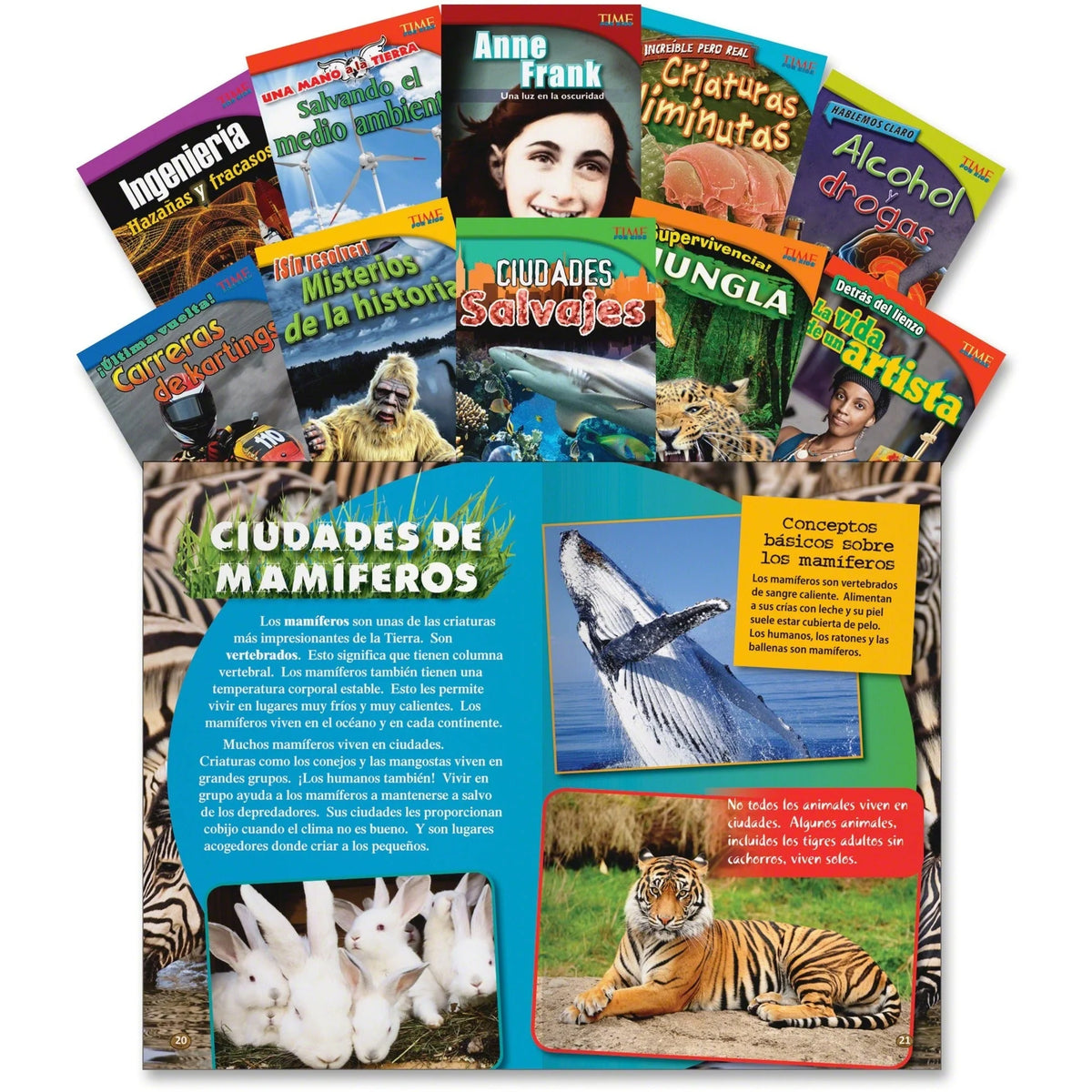 Shell Education TFK 4th-Grade Spanish Book Set - 10 Printed Books - Learning & Activities