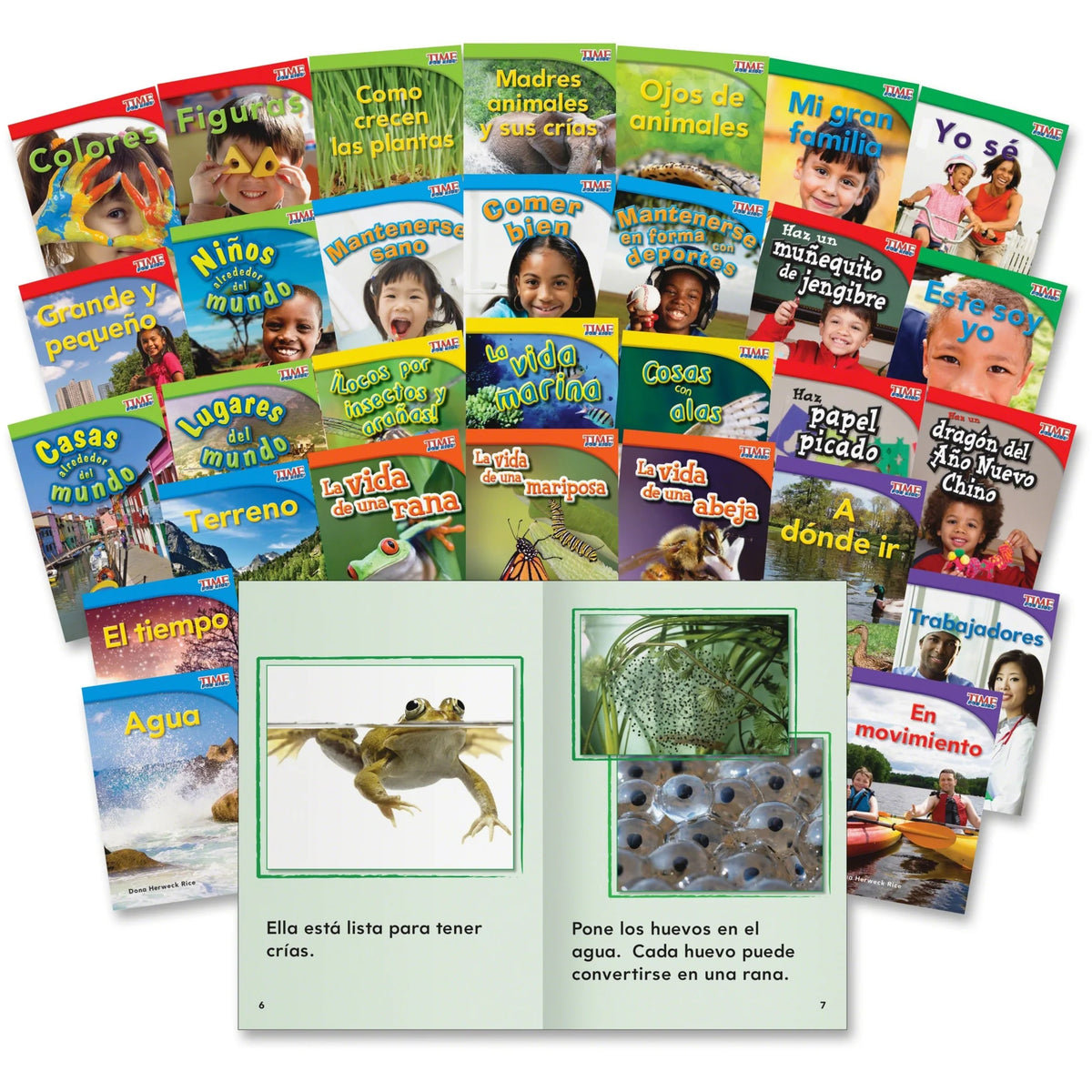 Shell Education TFK Spanish 1st-Grade Book Set - 30 Printed Books - Learning & Activities