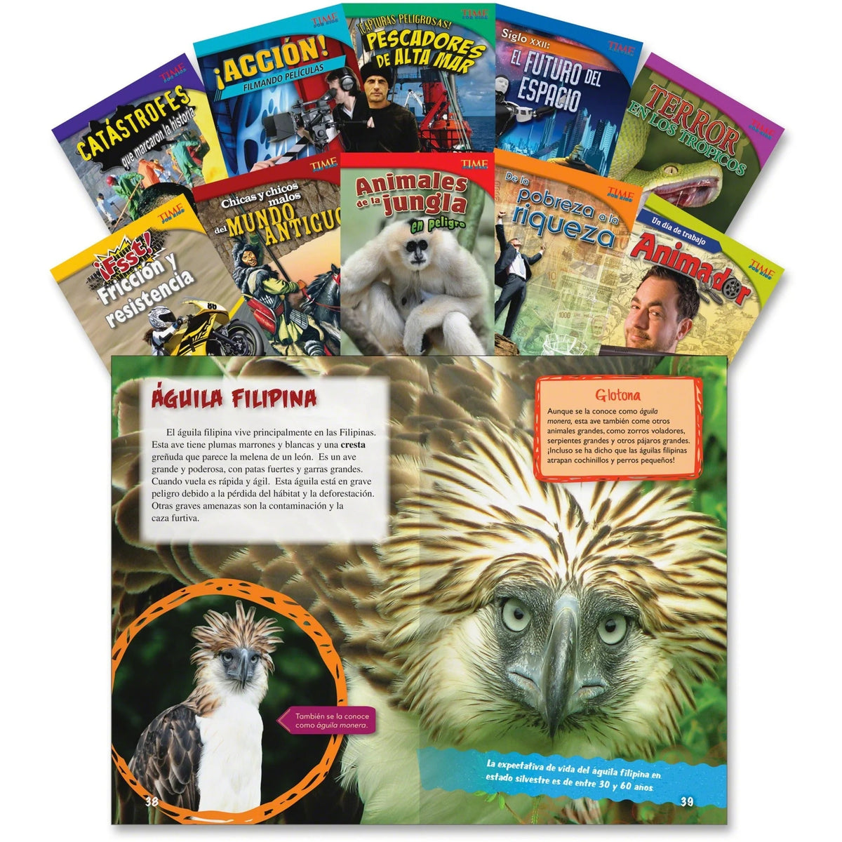 Shell Education Time For Kids Spanish Content Books - Printed Book - Learning & Activities