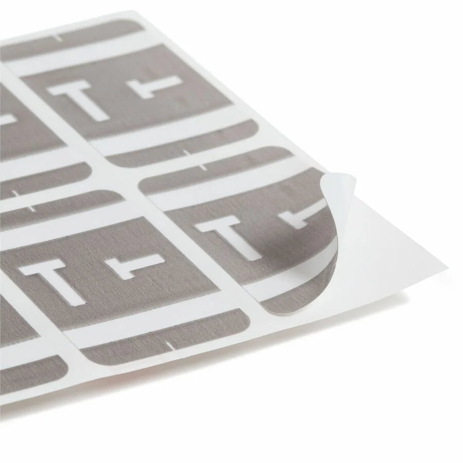 Smead AlphaZ ACCS Color-Coded Labels T-x 1’’ Width x 1 5/8’’ Length Gray 100 / Pack Laminated (SMD67190) - Filing