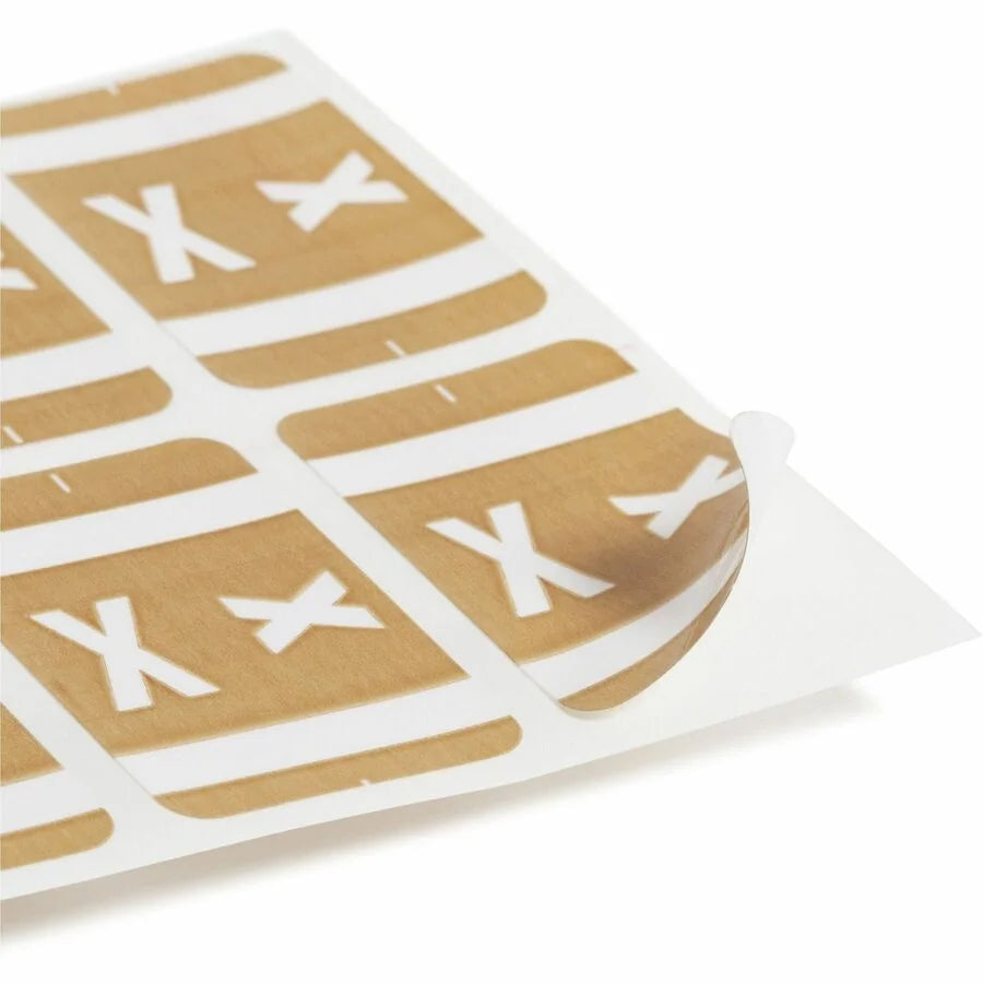 Smead AlphaZ ACCS Color-Coded Labels - Light Brown Laminated - 100 Pack - Filing