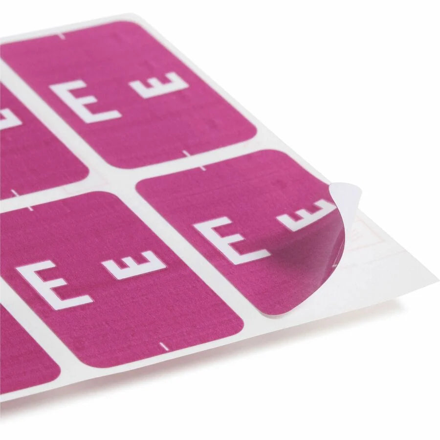 Smead AlphaZ ACCS Color-Coded Labels - E - x 1’’ Width 1 5/8’’ Length - Purple - Laminated - 10 / Sheet - 100 / Pack