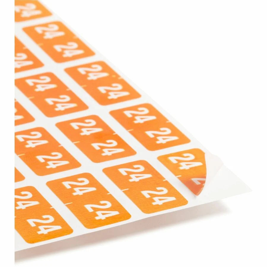 Smead ETS Color-Coded Year Labels - Orange Laminated - 250 - Color-Coding