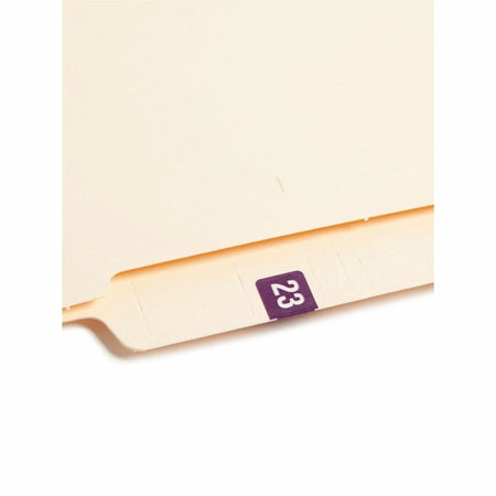 Smead ETS Color-Coded Year Labels - Purple Laminated - 250/Pack - Color-Coding