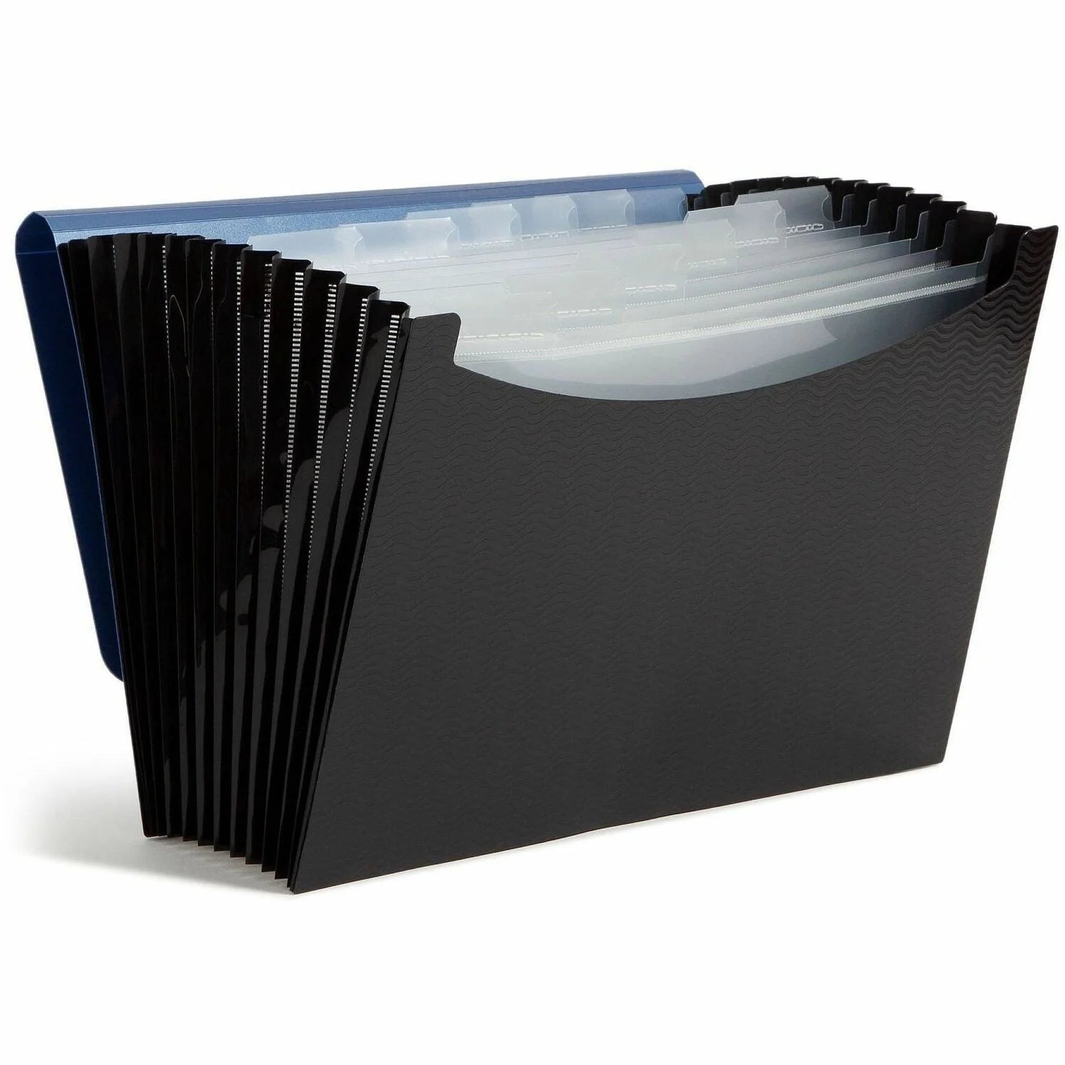 Smead Letter Expanding File: 12-Pocket Poly File Blue/Black - Files