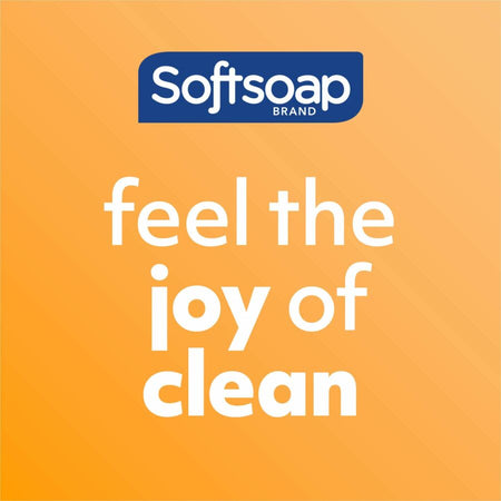 Softsoap Antibacterial Liquid Hand Soap - Right