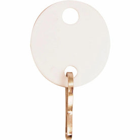 Sparco Oval Key Tags - White Plastic 0.75’’ x 1.10’’ 20/Pack