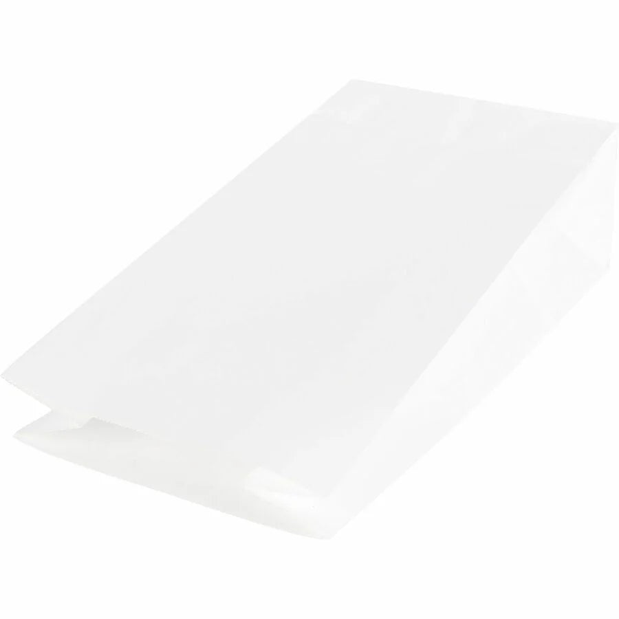 Sparco White Kraft Paper Bags - 11x6 - 100 Pack
