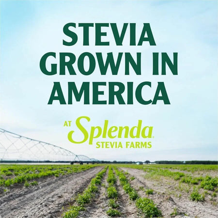 Splenda Single-Serve Sweetener Packets: 200 Packets 0.035 oz (1 g) - Condiments