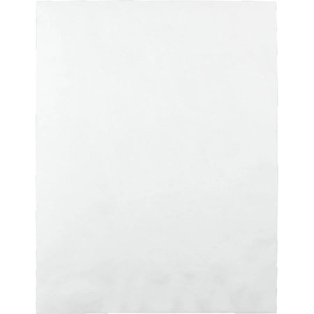 Survivor® Tyvek Catalog Mailer: Self-Sealing White 10 x 13 - 100/Box - Mailers