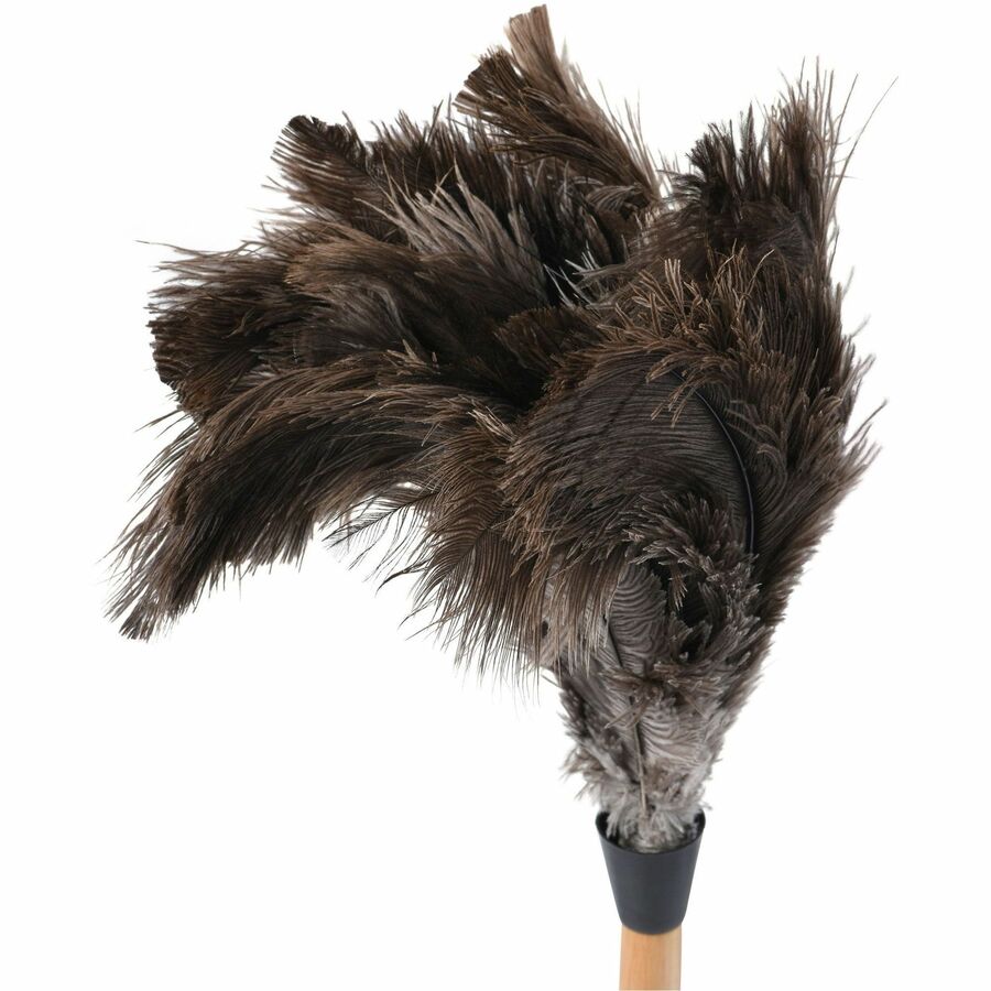 Tatco Feather Duster - Top