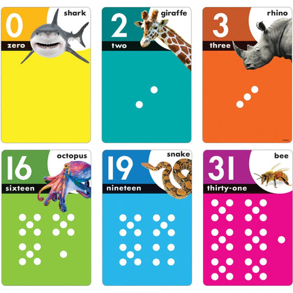 Trend Animals Count Learning Set: Numbered Cards for Animal Shapes & Math - Flash