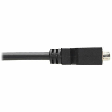 Tripp Lite DisplayPort to DVI Cable Adapter - 6’’ A/V - Black - TAA Compliant - Audio/Video Cables & Accessories