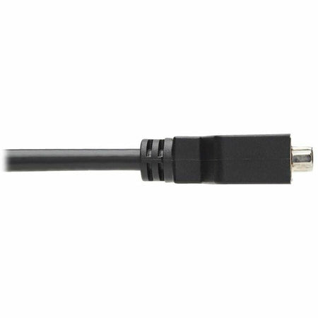 Tripp Lite series DisplayPort to DVI Cable Adapter - Alternate-Image5