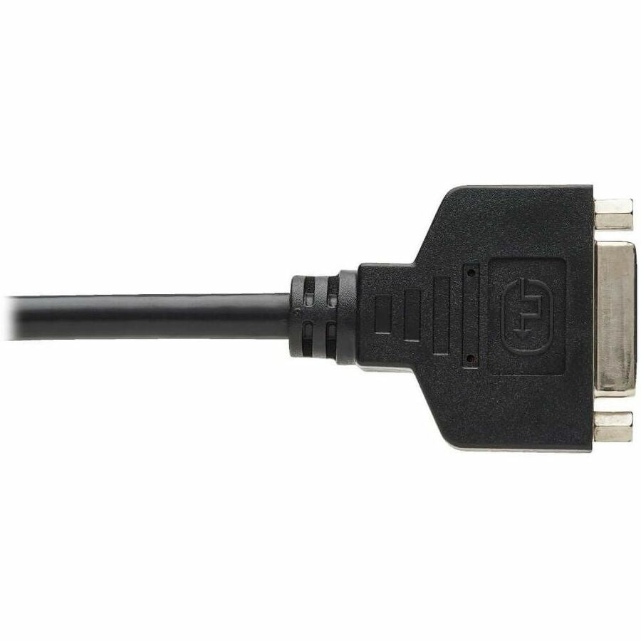 Tripp Lite series DisplayPort to DVI Cable Adapter - Alternate-Image6