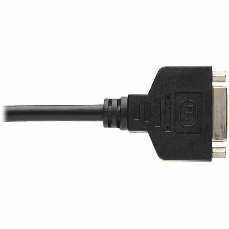 Tripp Lite series DisplayPort to DVI Cable Adapter - Alternate-Image6