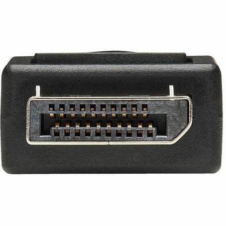 Tripp Lite series DisplayPort to DVI Cable Adapter - Alternate-Image3